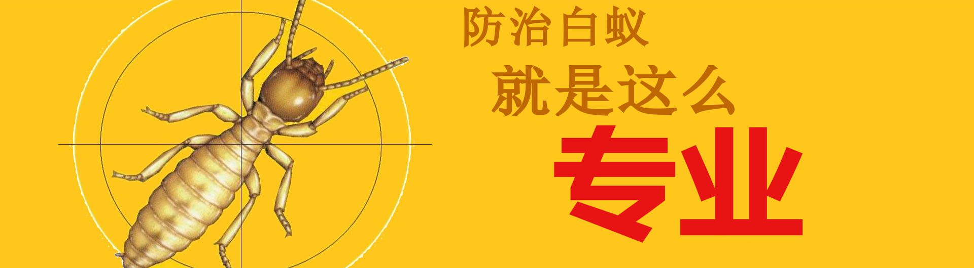 PC端幻燈二